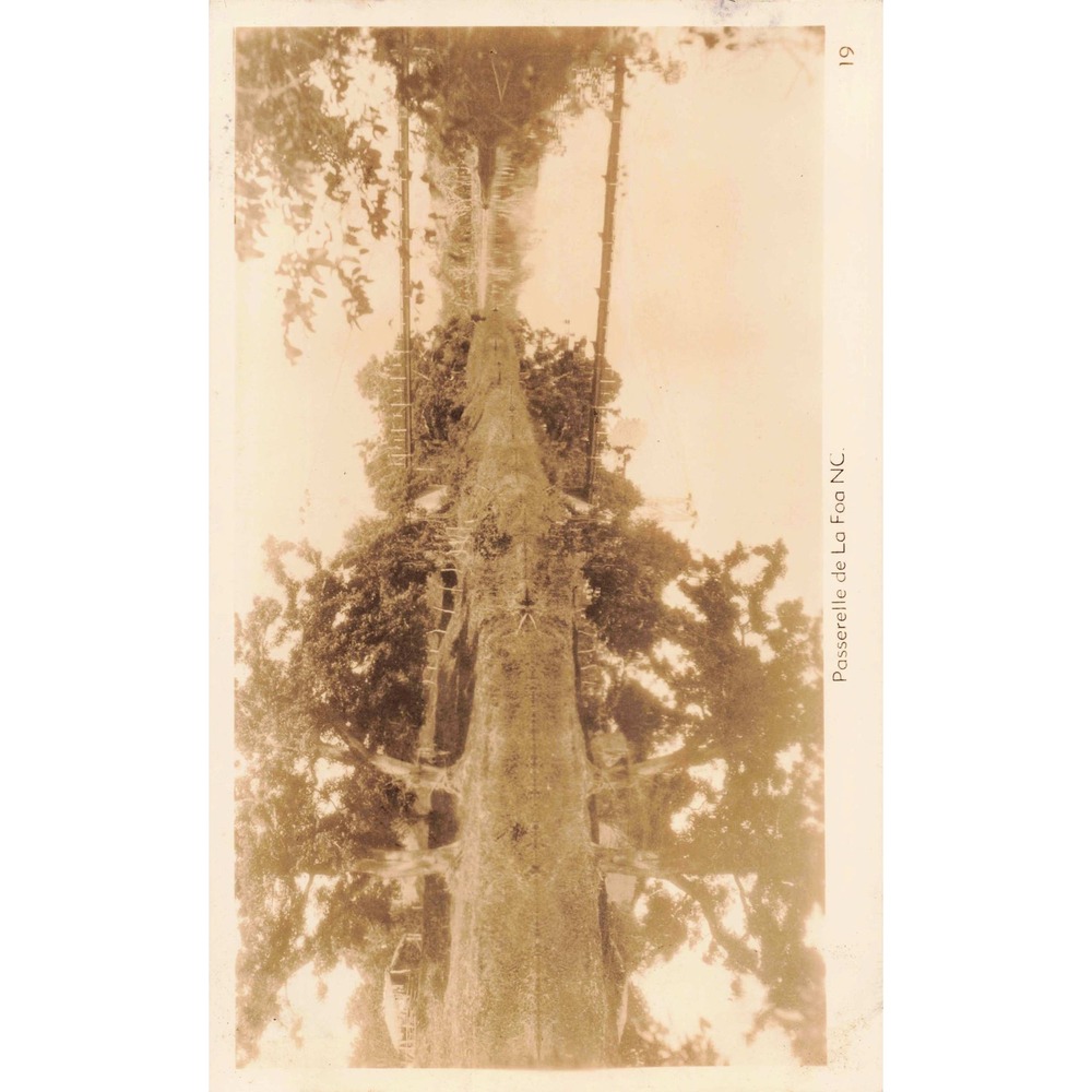 Full Set of 20 Vintage 1940's RPPC from New Caledonia - See Photos! Postcards - Picture 6 of 16